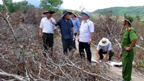 Phú Yên kỷ luật một số cán bộ chủ chốt