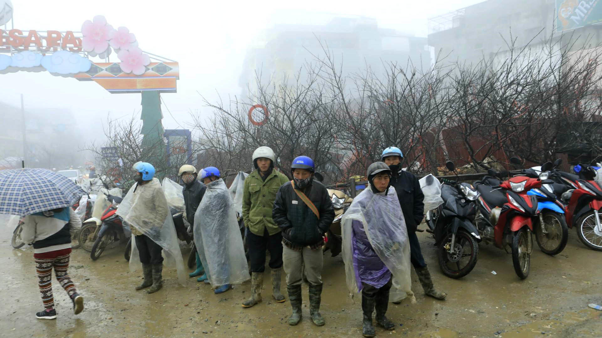 Xuýt xoa chợ đào rừng trong giá rét ở Sa Pa