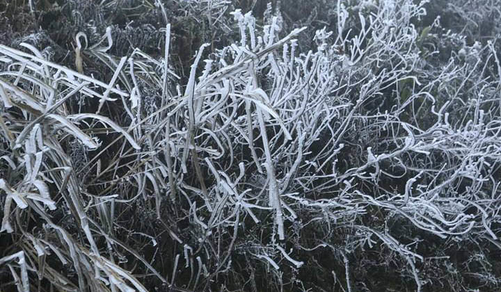 băng tuyết Ô Qúy Hồ