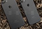 Apple bán iPhone 7 tân trang chỉ rẻ hơn hàng mới 50 USD