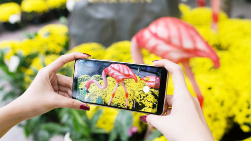 Lưu trọn khung hình ngày Tết bằng Galaxy A8/A8+