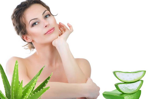 5 cách làm trắng da mặt bằng nha đam đơn giản và hiệu quả