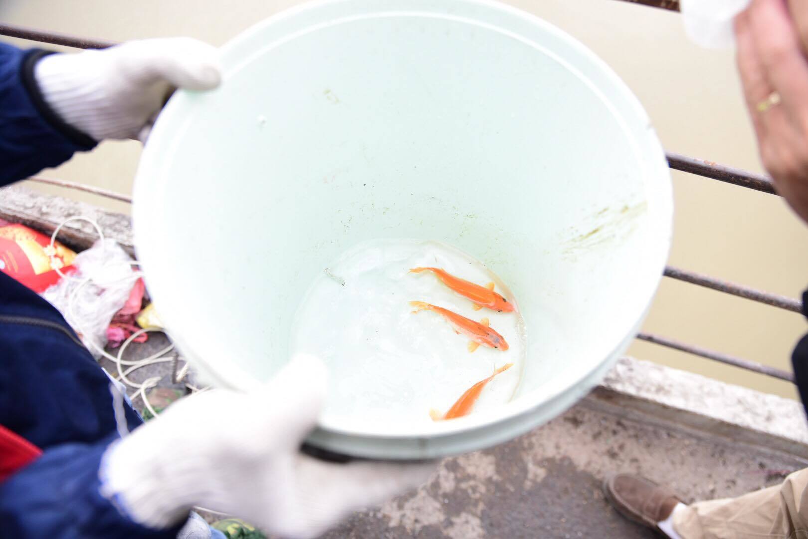 {title} Ông công ông Táo,Cúng Táo quân