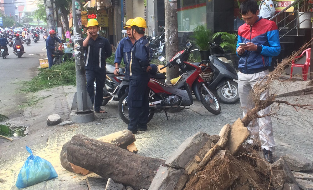 Cây xanh bật gốc, đè 4 người trên phố Sài Gòn