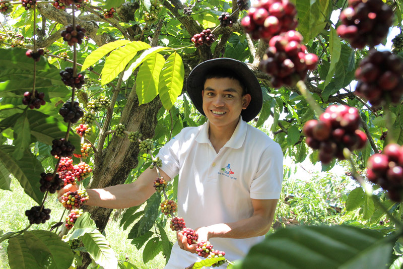 nông nghiệp công nghệ cao,nông nghiệp truyền thống,nông nghiệp thuận thiên,lợn rừng,dân tộc K’ho,Lâm Đồng,K’Brooke,nuôi lợn