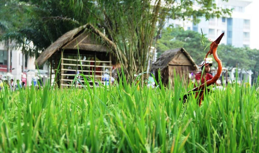 {title} Hồn quê yên bình ở 'phố nhà giàu' Sài Gòn ngày cận Tết
