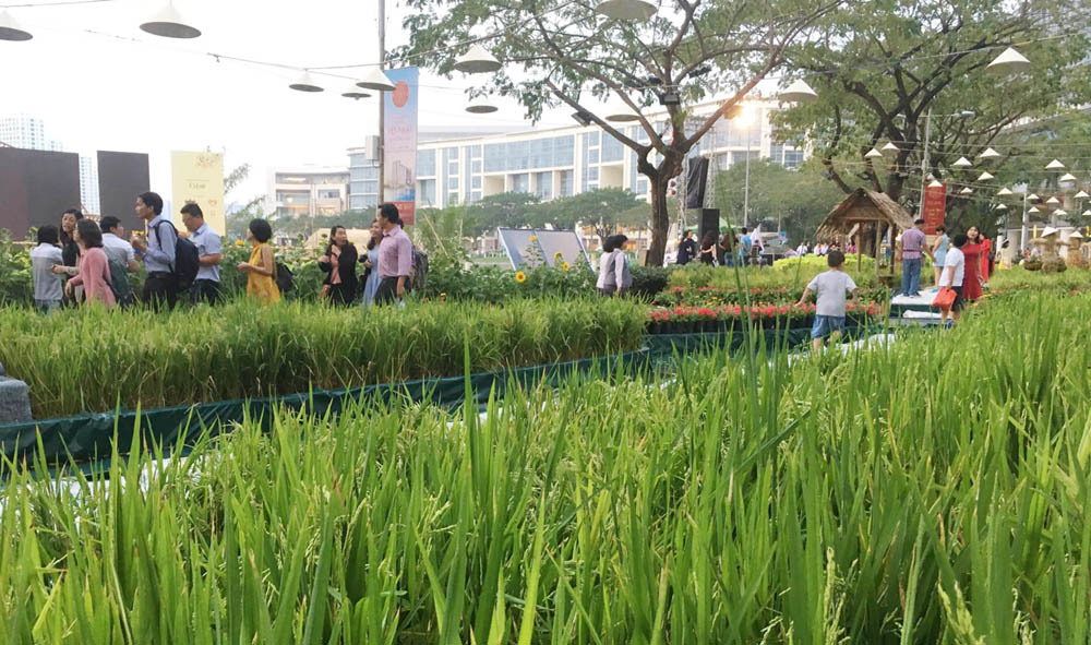 {title} Hồn quê yên bình ở 'phố nhà giàu' Sài Gòn ngày cận Tết