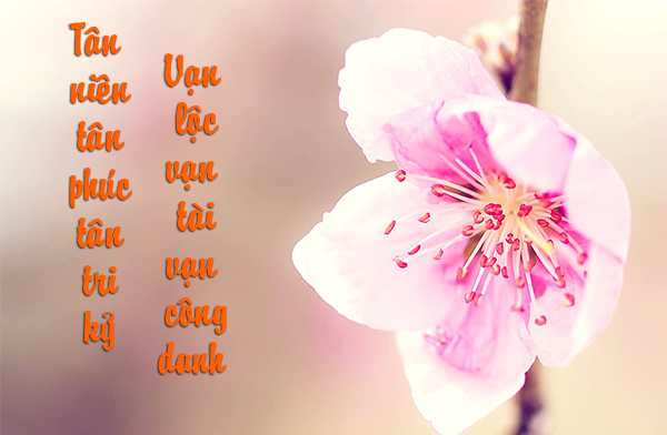 Lời chúc mừng năm mới 2018 bằng thiệp hay và ý nghĩa