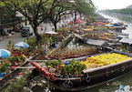 Dọc bến Bình Đông, xem chợ hoa ngày Tết