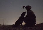 Vẻ dũng mãnh của các chú chó chiến binh Mỹ