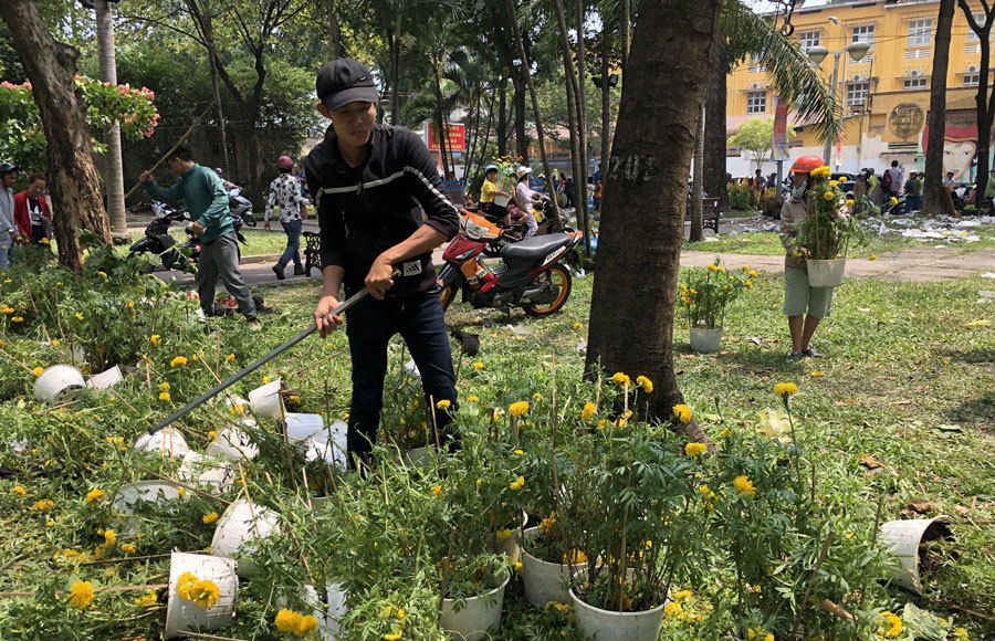 Hàng trăm chậu hoa bị đập bỏ ở chợ hoa lớn nhất Sài Gòn