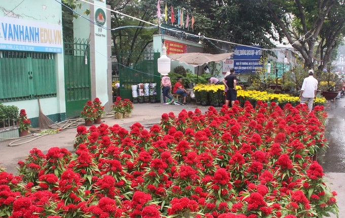 Chợ 30 Tết; Hiu hắt khách mua, chủ hàng đổ hoa xuống sông - ảnh 5 Chợ 30 Tết; Hiu hắt khách mua, chủ hàng đổ hoa xuống sông - ảnh 5