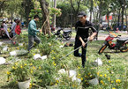 Hàng trăm chậu hoa bị đập bỏ ở chợ hoa lớn nhất Sài Gòn
