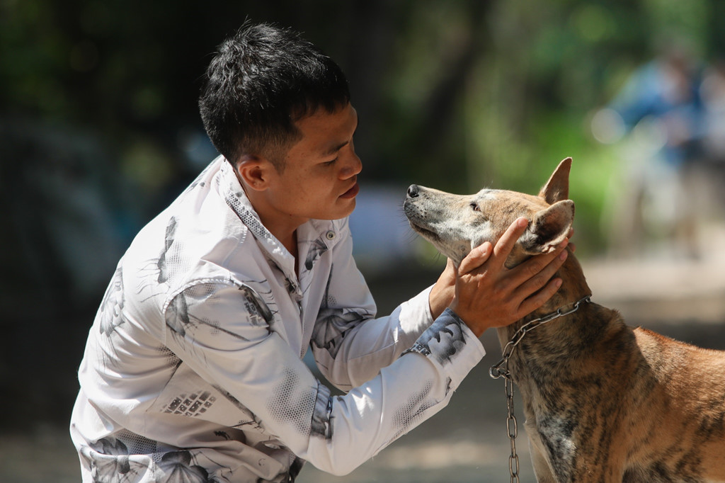 Chủ trại chó Phú Quốc ở Sài Gòn kể chuyện kiếm tiền tỷ từ nuôi chó