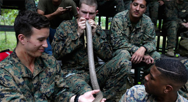 Lính Mỹ uống máu rắn, tập sinh tồn ở Thái Lan