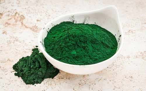 tăng cân,tảo mặt trời tăng cân,tảo spirulina,tăng cân tự nhiên,tảo mặt trời