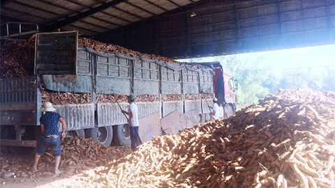 Lén xả thải ra sông, 1 công ty bị phạt gần 1,8 tỉ đồng
