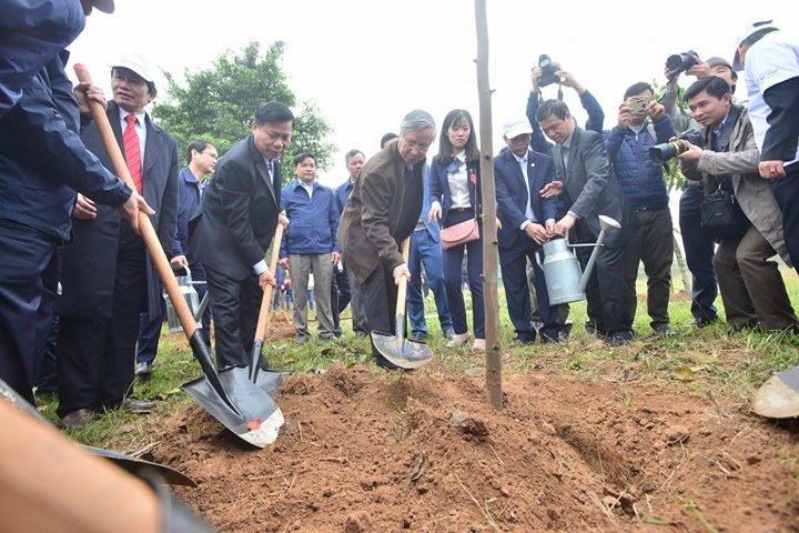 Phát động 'Tết trồng cây đời đời nhớ ơn Bác Hồ' Xuân Mậu Tuất 2018