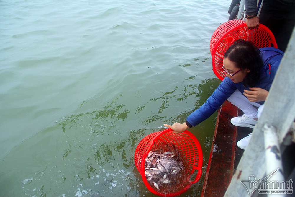 Hàng vạn người chuyền tay, phóng sinh hơn 5 tấn cá ở Hà Nội