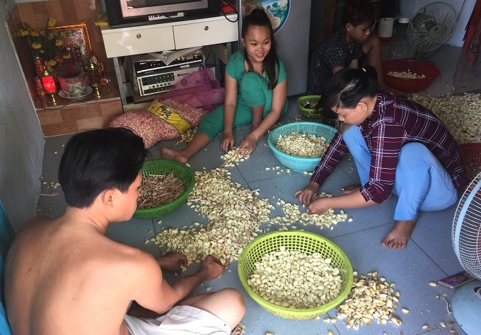TÌM VIỆC LỘT TỎI TẠI NHÀ THU NHẬP ỔN ĐỊNH