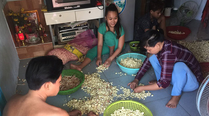 Sài Gòn: Rát tay, cay mắt bóc hành tỏi, nhận 2 nghìn đồng/kg