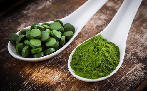 tăng cân,tảo mặt trời tăng cân,tảo spirulina,tăng cân tự nhiên,tảo mặt trời