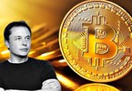 Tỷ phú Elon Musk đang sở hữu bao nhiêu bitcoin?