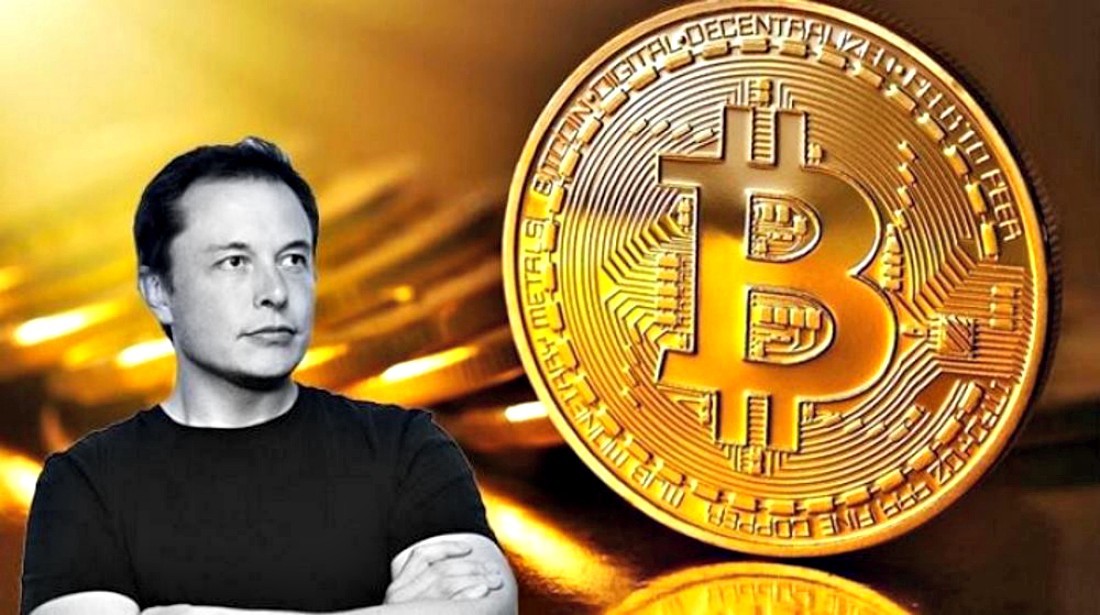 Tỷ phú Elon Musk đang sở hữu bao nhiêu bitcoin?