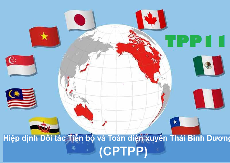 8/3 ký kết CPTPP: Việt Nam, áp lực và cơ hội mới