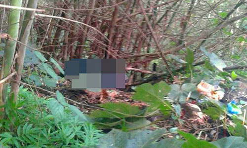 2 bố con bị cắt cổ khi đi tìm mật ong rừng