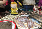 Dân mạng nước ngoài thích thú với chú mèo bán cá ở Việt Nam