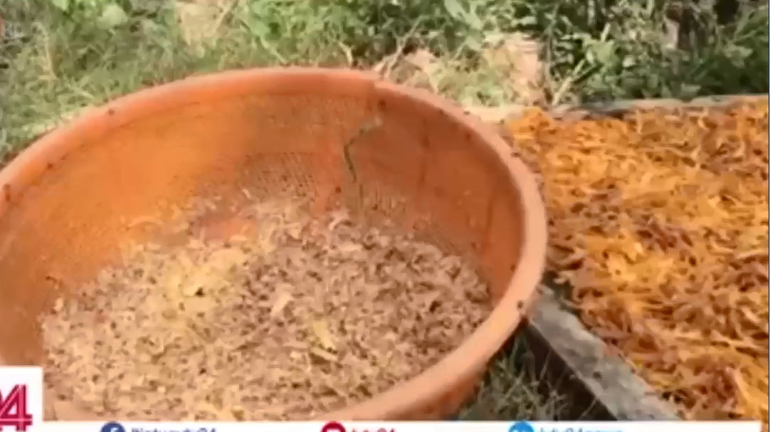 Đột nhập nhiều lò chế biến mực tẩm bẩn để bán vào TP.HCM