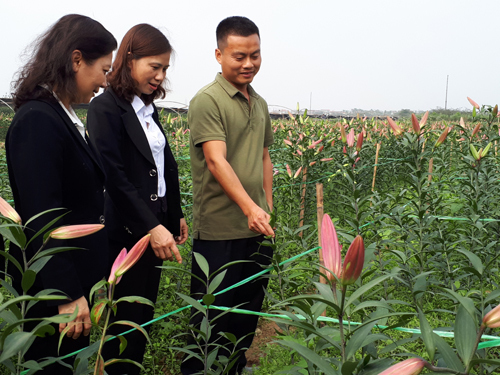 Agribank Đan Phượng: ‘Địa chỉ’ hỗ trợ nông dân làm giàu