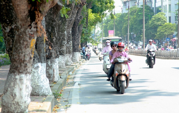 Dự báo thời tiết 10/3: Miền Bắc hanh khô như rang