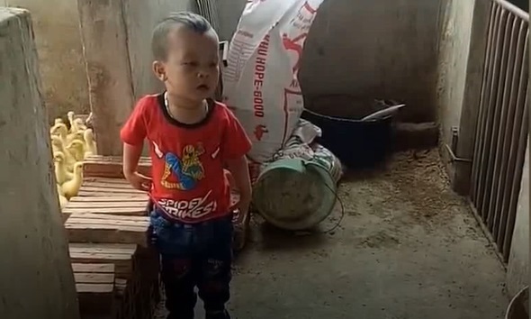 Cậu bé đứng đấu khẩu với chú chó khiến cư dân mạng cười bò