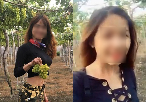 Tranh cãi quanh việc 2 cô gái tố chủ vườn nho 'chặt chém'