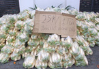 Giải cứu hàng tấn củ cải đổ đống cho nông dân Hà Nội