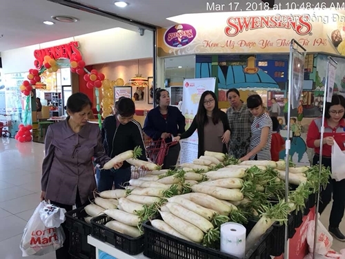 LOTTE Mart hỗ trợ tiêu thụ củ cải trắng
