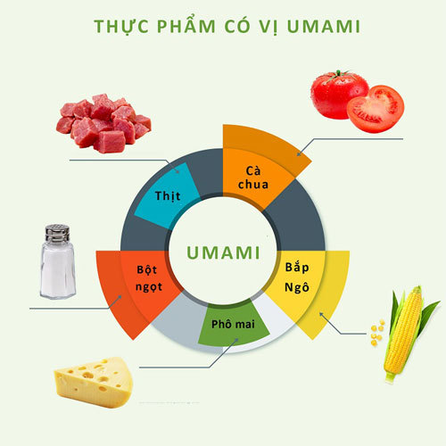 Umami - Câu chuyện về vị ngon thứ 5 trong ẩm thực
