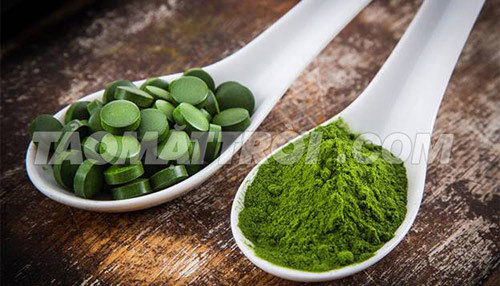 tăng cân,tảo mặt trời tăng cân,tảo spirulina,tăng cân tự nhiên,tảo mặt trời