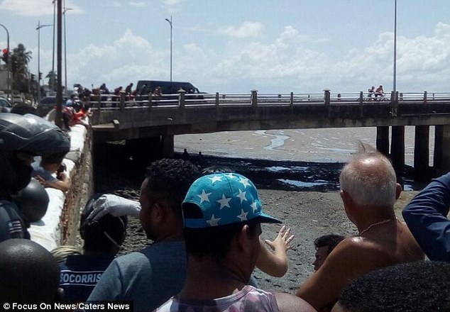 sống sót kỳ diệu