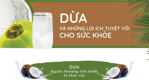 Dừa và những lợi ích tuyệt vời cho sức khỏe