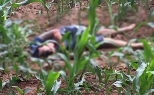 Hà Nội: Phát hiện thi thể chết bất thường giữa cánh đồng