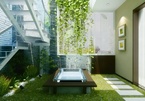Nhà nhỏ tốt nhất nên trồng những loại cây leo vừa xanh mát lại đẹp mộng mơ này!