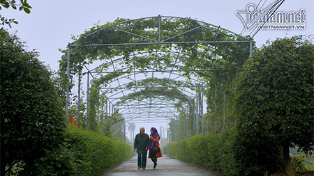 Những miền quê đẹp như tranh ở Hà Tĩnh