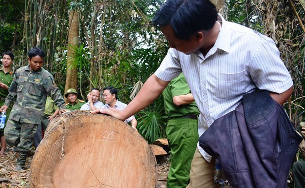 Phó chủ tịch Quảng Nam: Tôi có cảm giác như máu mình đổ xuống