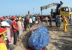 Ngư dân Phan Thiết làm lễ chôn cá voi nặng 3 tấn