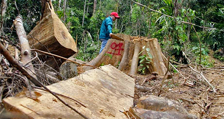 Quá muộn chăng, cái 'cảm giác như máu mình đổ xuống'?