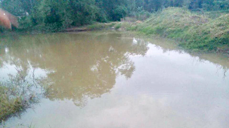 Sau giờ học, 2 anh em họ đuối nước thương tâm