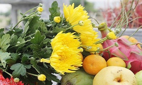 Những việc cần làm trong Tết Thanh Minh